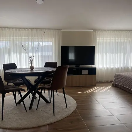 Apartment Alvydo Apartamentai *