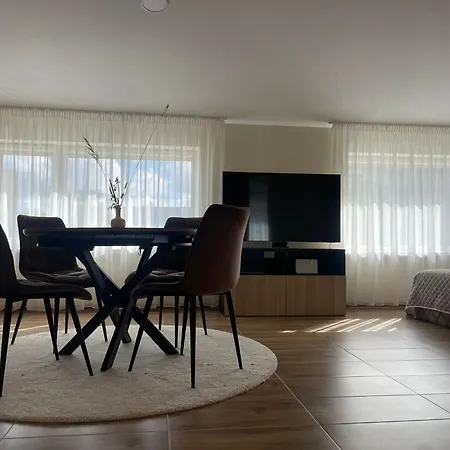 Apartment Alvydo Apartamentai Kaunas