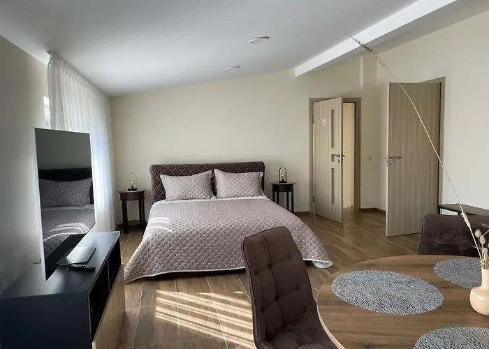 アパート Alvydo Apartamentai カウナス